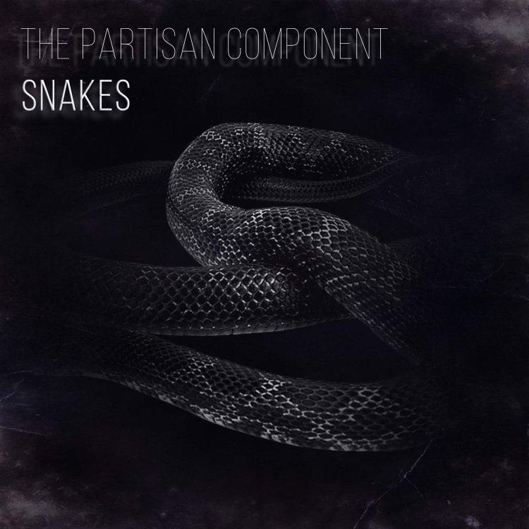 Snakes Cover.jpg