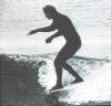 surfsup1955